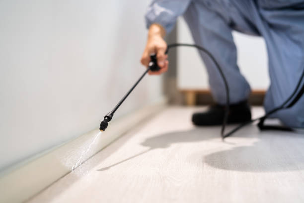 Licensed Termite Control service in Thorsby, AL - Show Me Pest Control